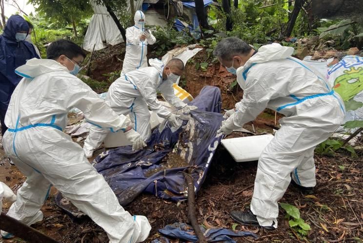 怀化:武陵山区的防疫屏障与病毒遭遇战_43758