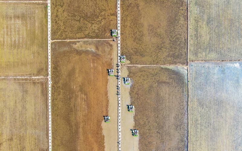 昌图县疫情观察:辽北粮仓的交通枢纽防控战