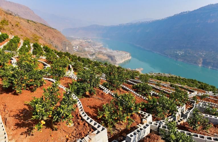 生活百科 第53页