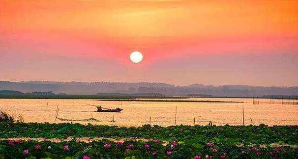 微山湖水域屏障下的疫情防线:地理优势如何塑造防疫格局?