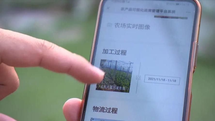 西青区疫情溯源:城乡结合部结构下的防控挑战