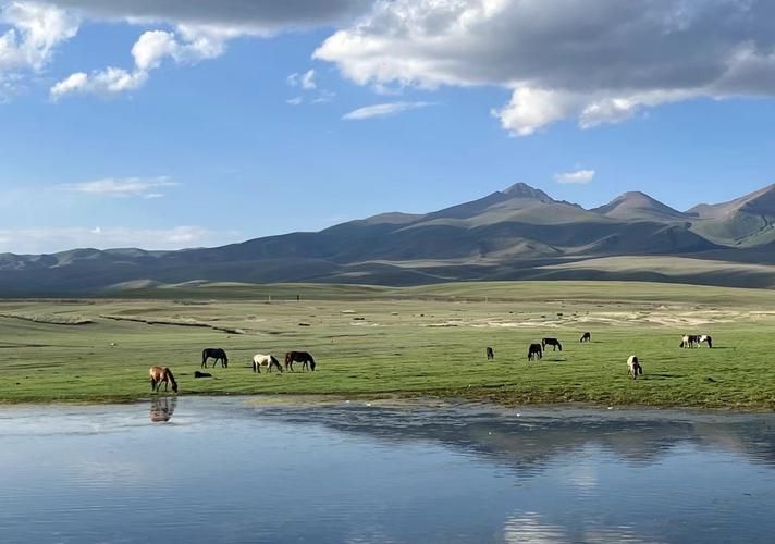 和静县：天山腹地交通枢纽的零感染坚守