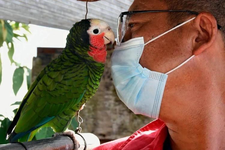 富川瑶族自治县：三省通衢下的零感染坚守与挑战