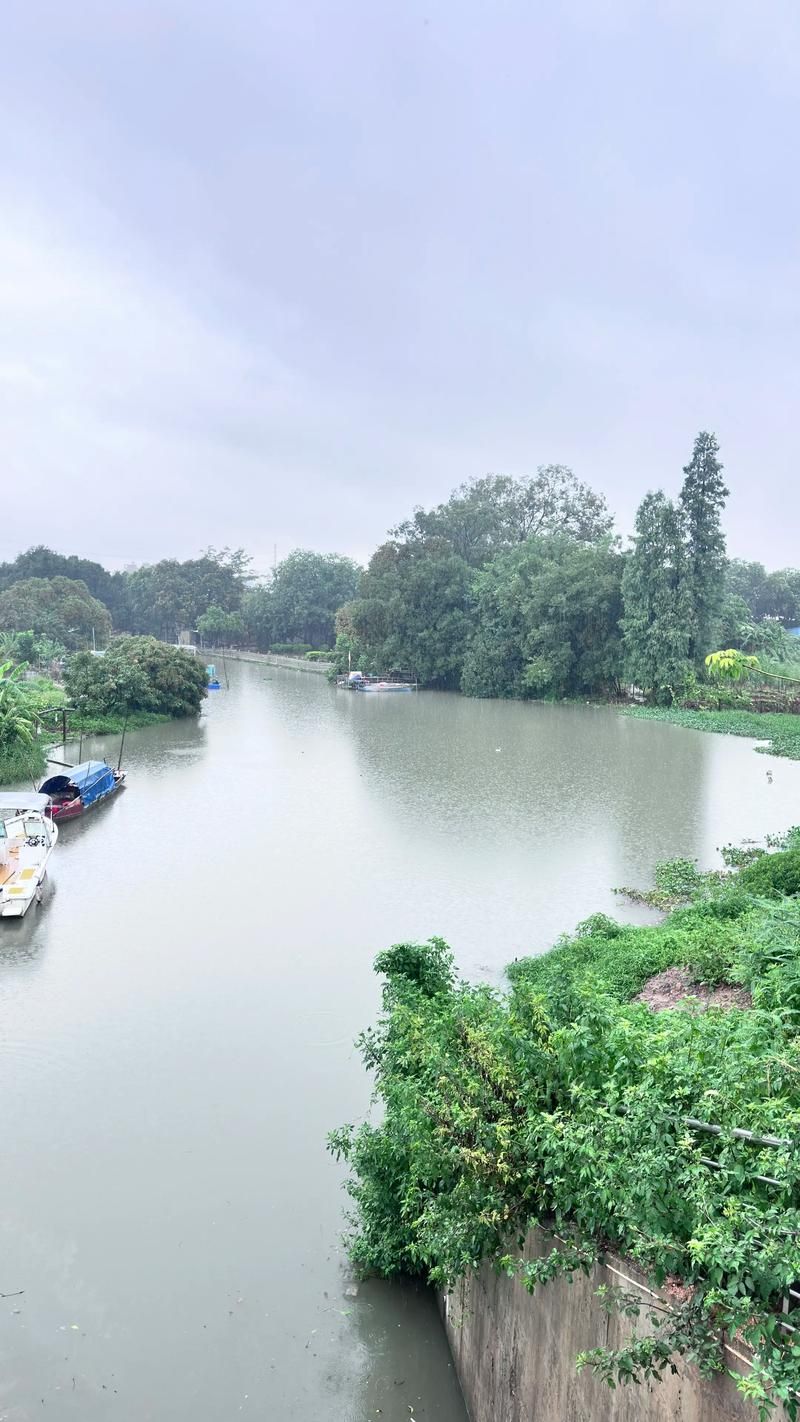 日常记录 第52页