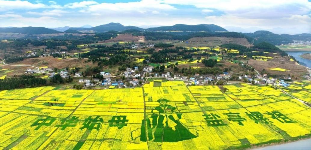 梓潼：川北丘陵下的疫情防线与破防时刻