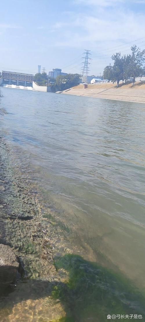 【五河：皖北水网下的疫情防波堤】