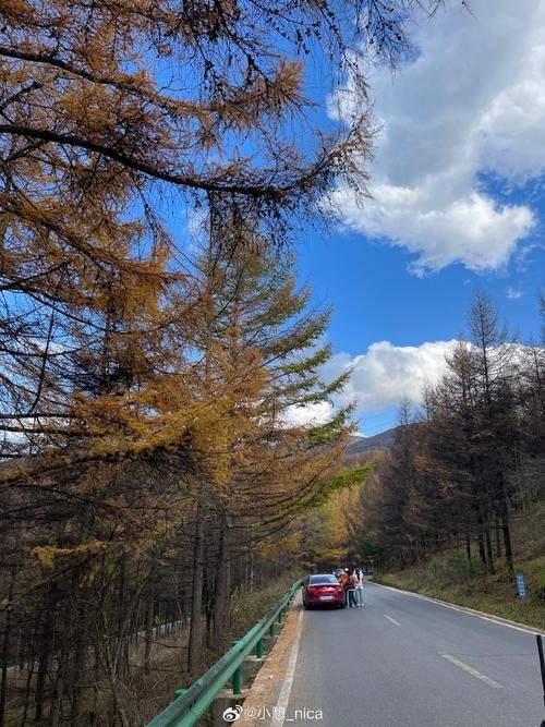 太白县:秦岭腹地屏障下的零感染坚守_38088