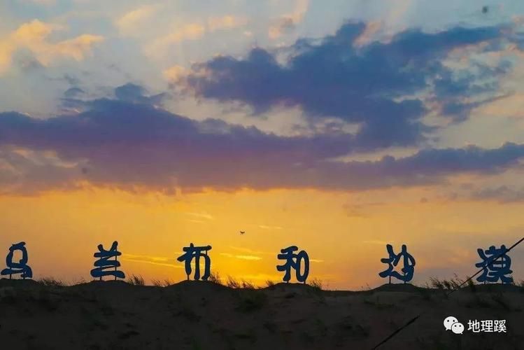 东阿：黄河冲积平原上的县域防疫样本