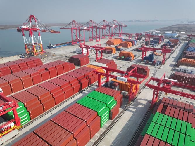 【镇海区：港口枢纽的防疫破防与精准围堵】