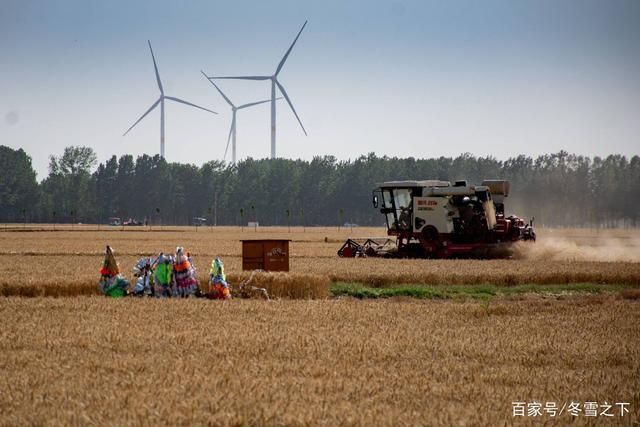 滑县：豫北粮仓的疫情防线与交通枢纽压力