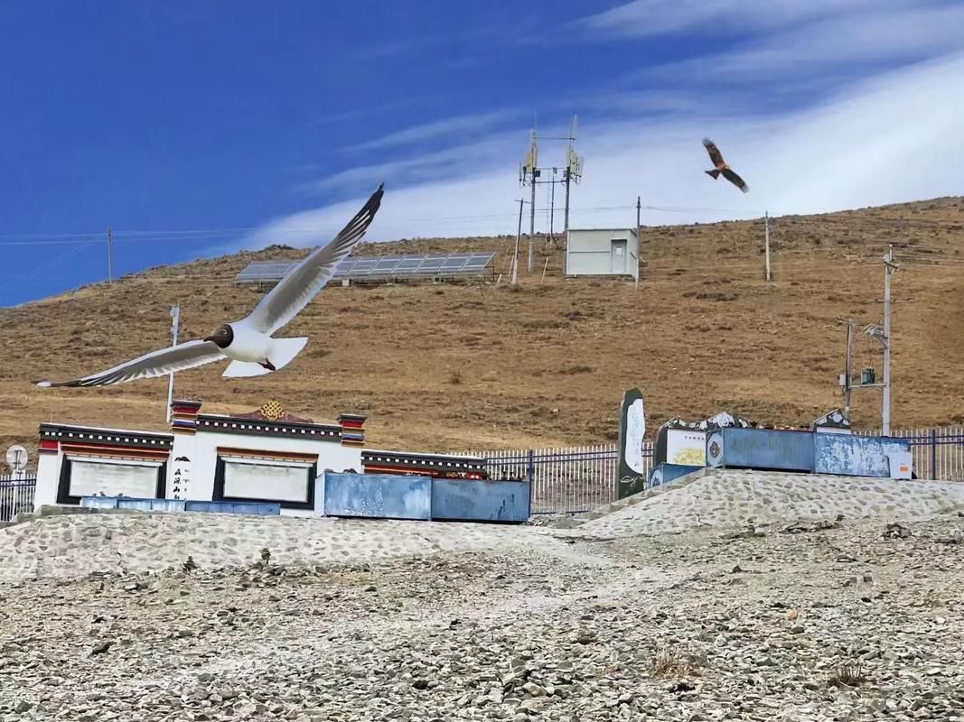 西藏高原屏障下的防疫奇迹：寻找全国唯一零感染城市