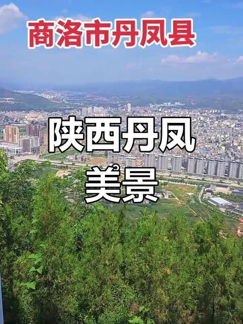 丹凤县:秦岭腹地的零感染坚守与物理防线解析