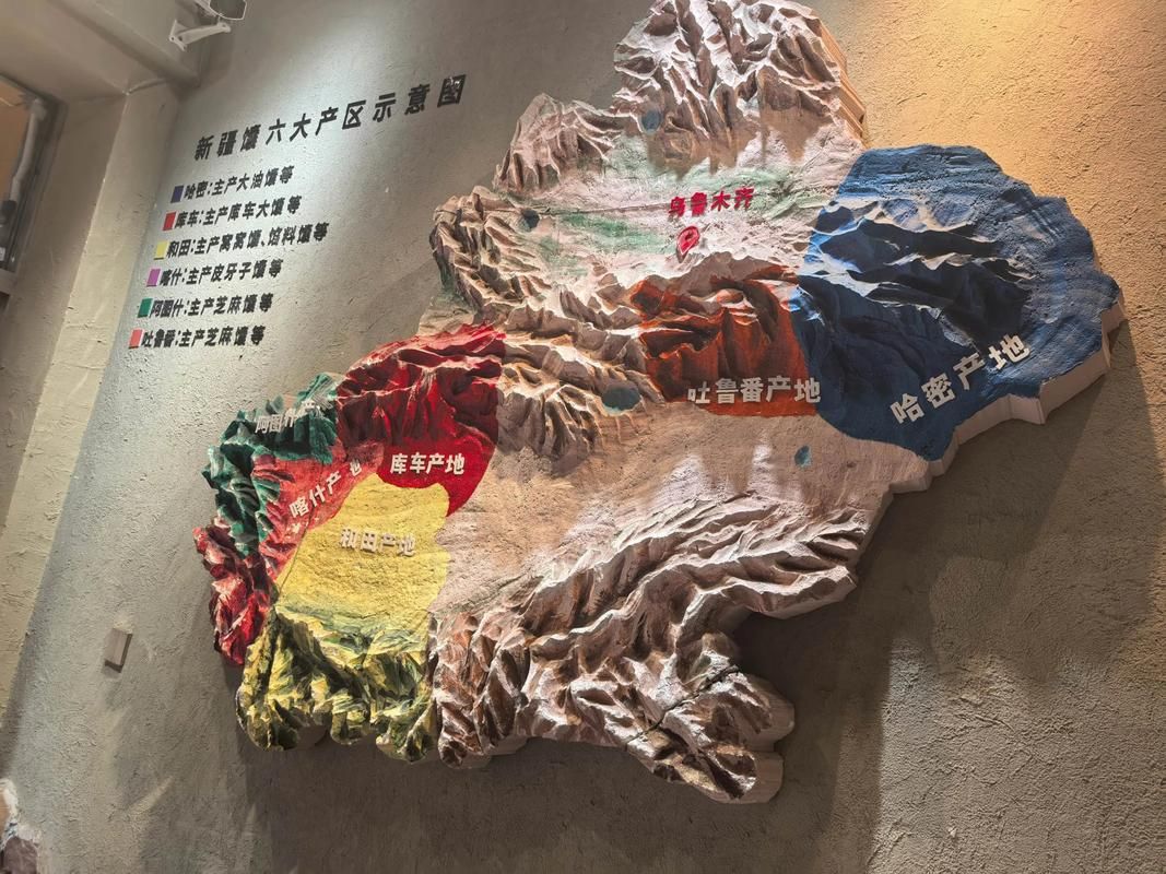 大足石刻下的静默防线：低感染率背后的地理屏障与社区网格