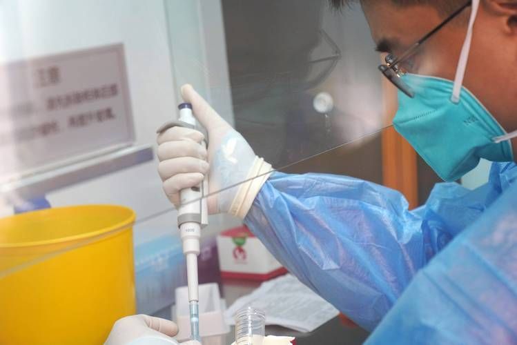 31省新增本土12例(31省新增本土9例)，紫阳县再现聚集性疫情？