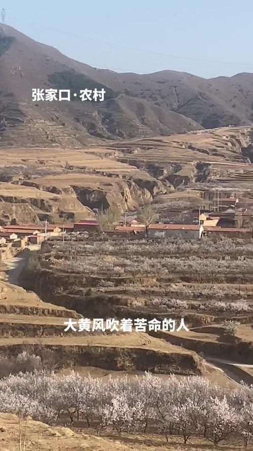 通渭县：黄土高原沟壑间的疫情静默带