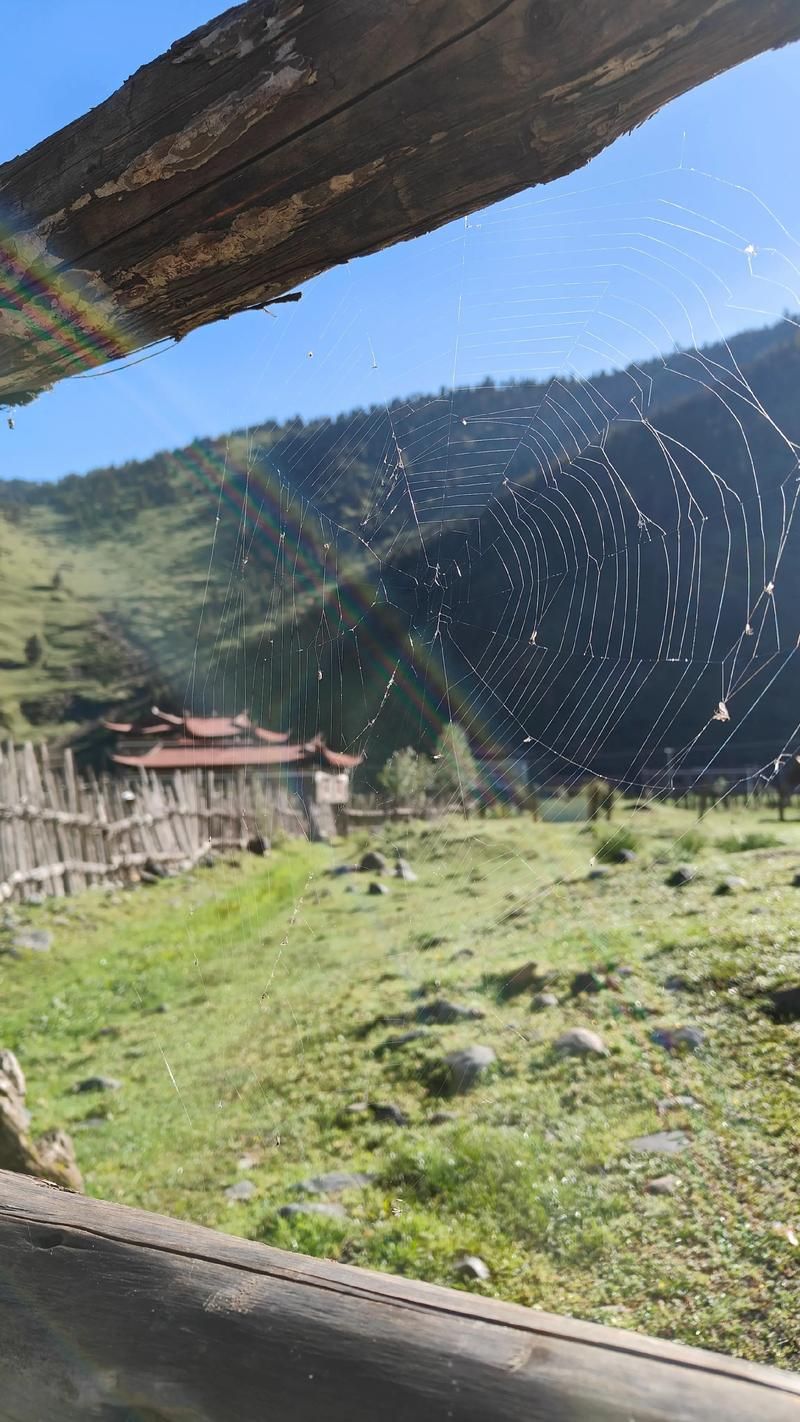 荔浦县：喀斯特峰林下的“零感染”物理防线