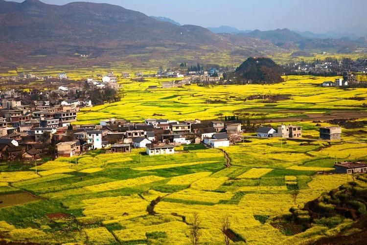 平原县疫情观察：鲁西北平原腹地的防控样本_67795