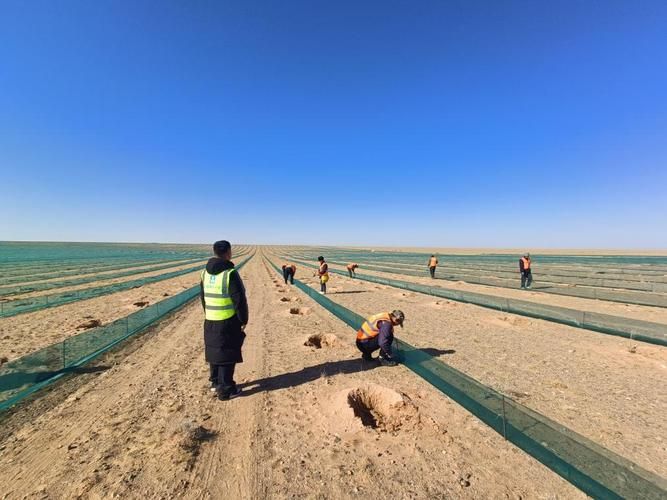 乌拉特后旗：戈壁屏障下的零感染坚守与常态化防控