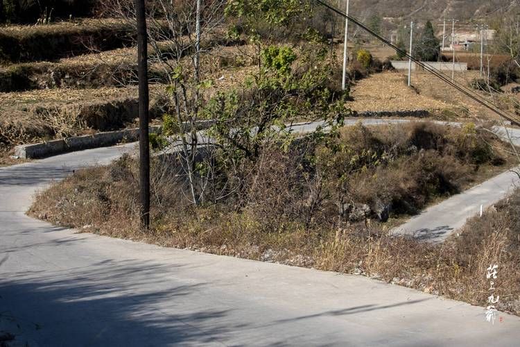 黎城：太行山坳中的疫情孤岛与交通枢纽的防控博弈