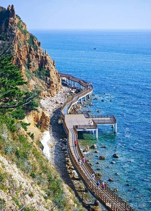 烟台：黄渤海交汇处的疫情防波堤