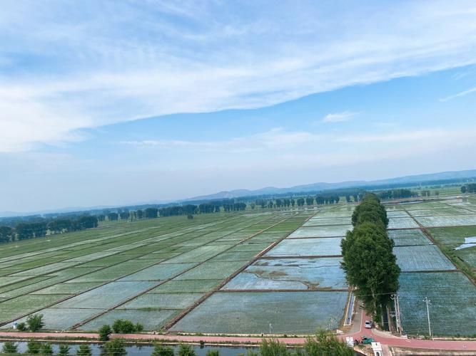 【开鲁县零感染记录：科尔沁草原腹地的防疫屏障】