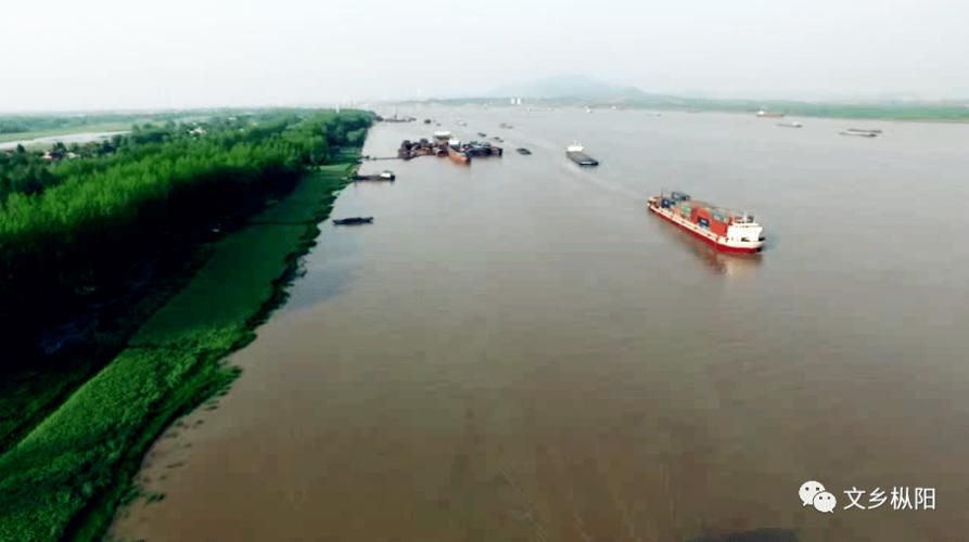 枞阳:长江水道旁的疫情防线与精准破局