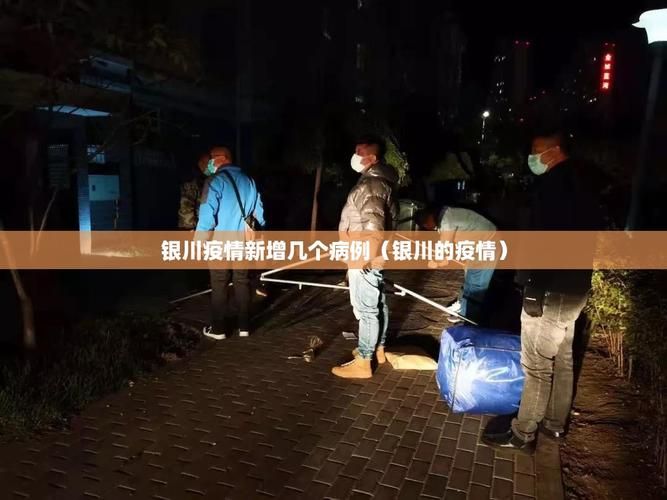 2022年9月28日宁夏新增确诊病例情况