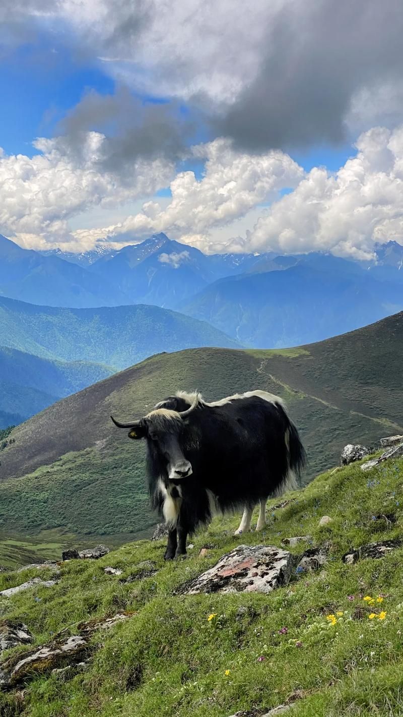 高原屏障下的零感染坚守：堆龙德庆县防疫地理考