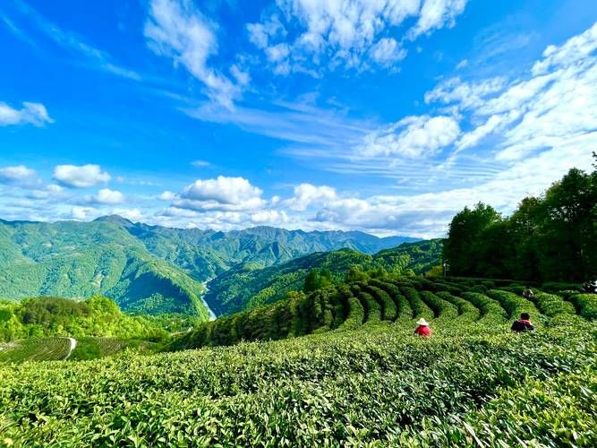 镇巴:秦巴山坳间的零感染孤岛何以铸成?