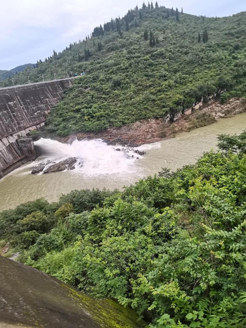 茶陵县:湘东丘陵屏障下的疫情防波堤_71379