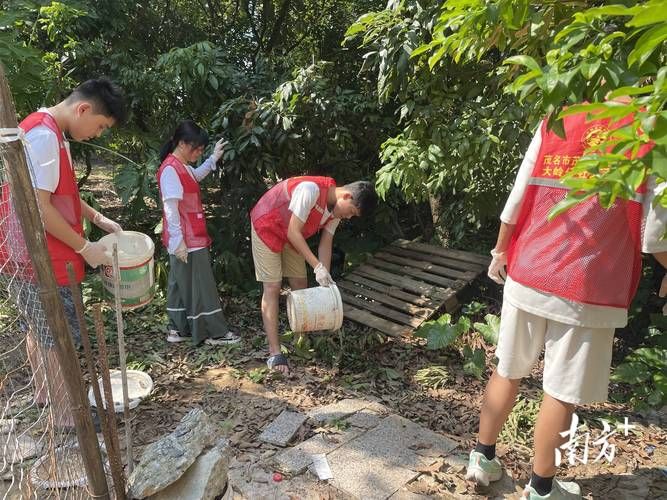 茂南疫情观察：交通枢纽下的防控压力与地理屏障