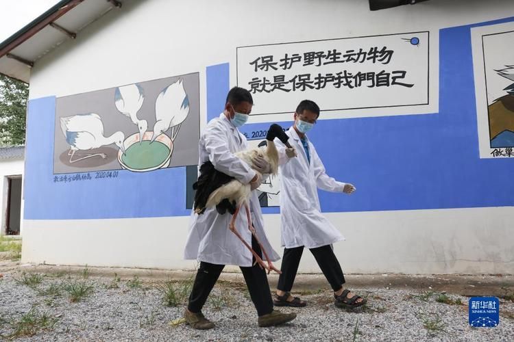 【当涂：长江之畔的防疫坚守与零星破防】