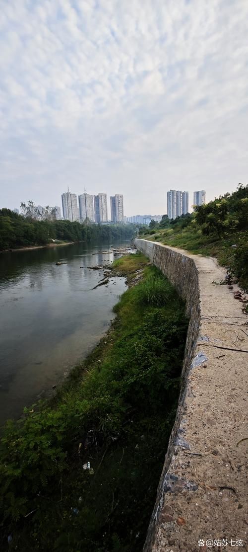 沿河土家族自治县：武陵山屏障下的疫情防波堤