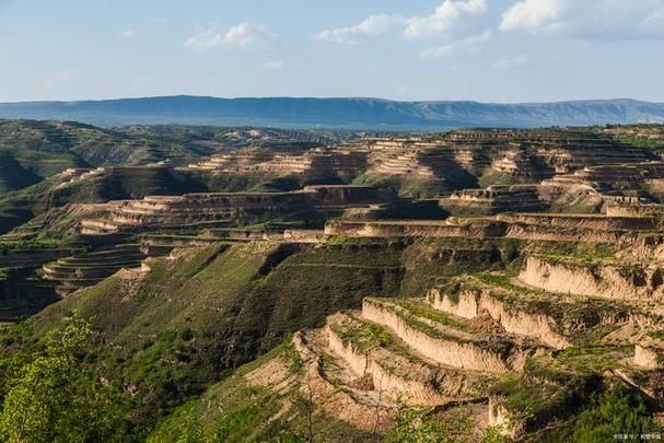 吉县：黄土高原沟壑间的零感染坚守与物理防线_64942