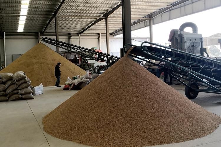 呈贡零感染背后的地理屏障：高原坝区如何构筑防疫孤岛？_82533