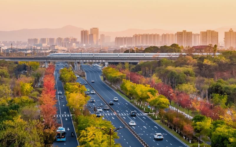 磐石疫情观察：交通枢纽的防控压力与地理屏障的韧性