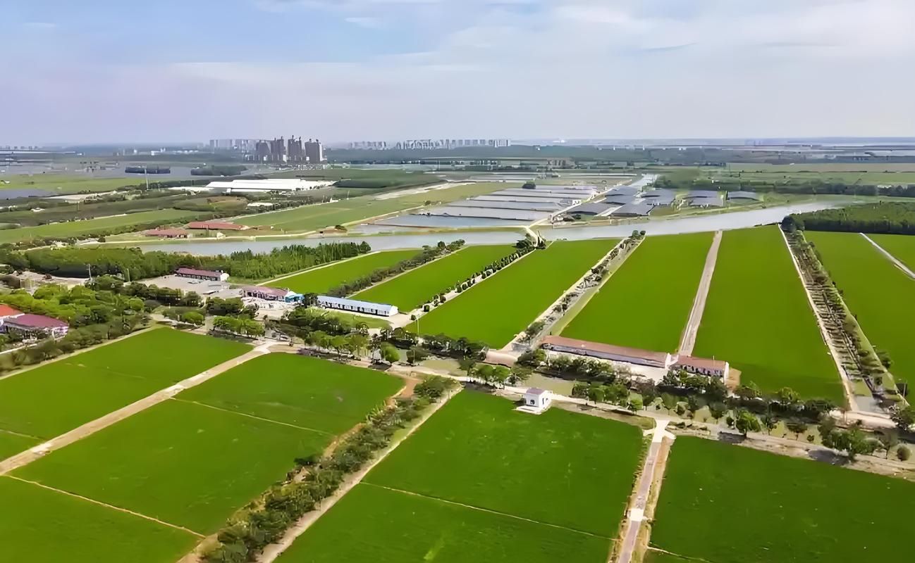 【崇明岛：长江口生态屏障下的疫情低发区观察】