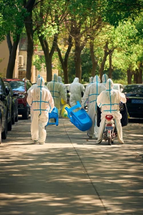 武功：关中平原交通枢纽的疫情承压与精准防控