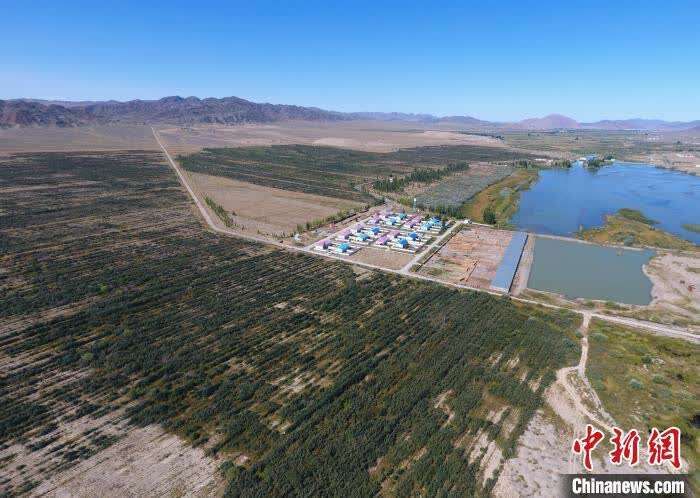 青河县零感染记录：阿尔泰屏障下的防疫孤岛