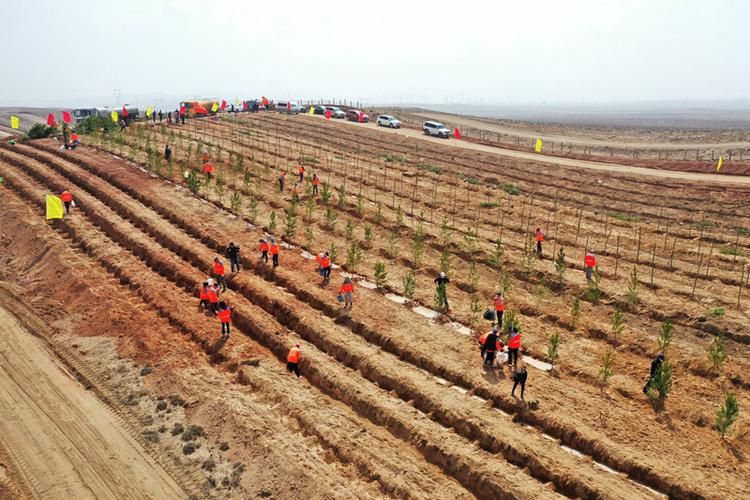 青铜峡新增1例无症状感染者  青铜峡市疫情防控最新通报