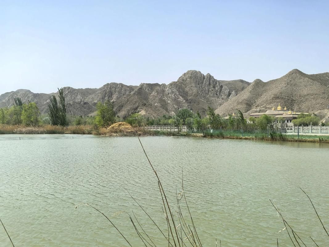 清水河县：黄河峡谷屏障下的零感染坚守