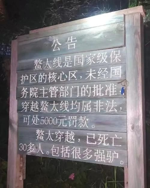 衡山脚下零感染：南岳屏障与社区网格的双重守护_52247