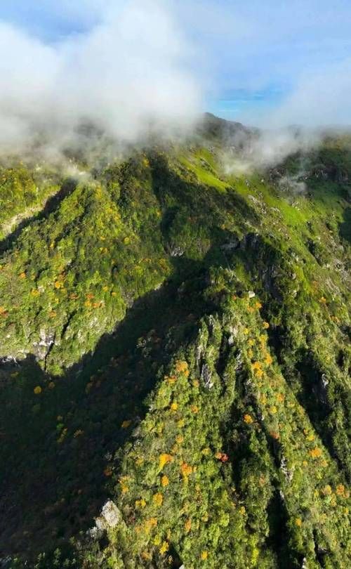 生活百科 第21页