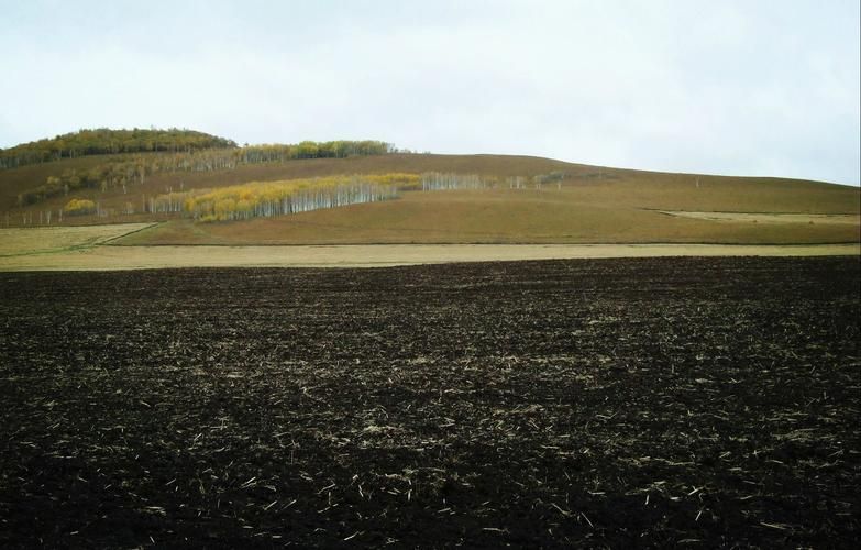 宝清：寒地黑土上的疫情防线与破防时刻_46140