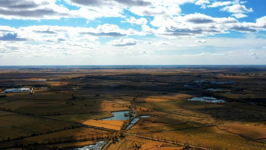 五常稻香与防疫屏障：黑土地上的零感染坚守