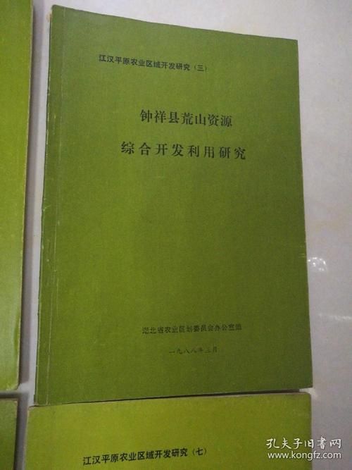 枝江：江汉平原腹地的防疫韧性解析