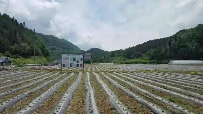 建始：鄂西林海屏障下的低感染样本