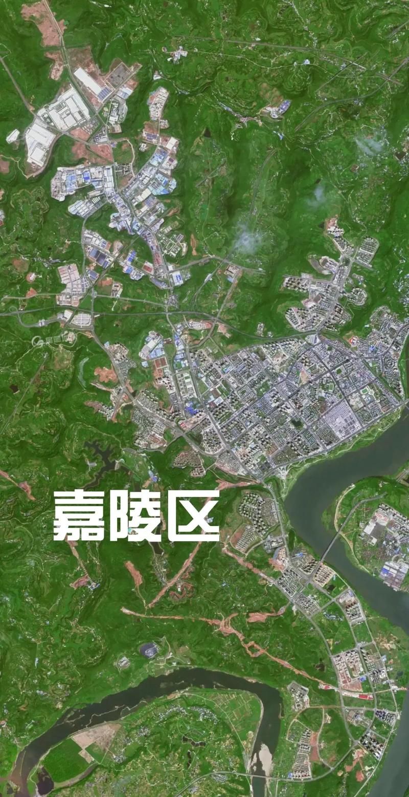 2022年11月25日嘉陵区新增确诊病例情况_37987