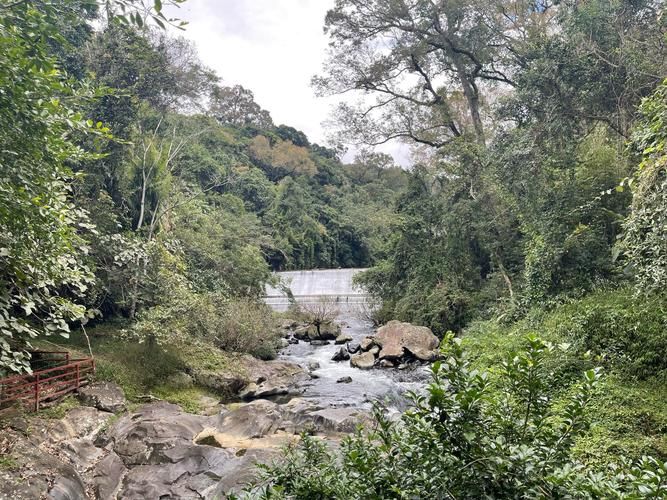 【五指山屏障下的零感染坚守：热带雨林气候如何构筑防疫孤岛？】
