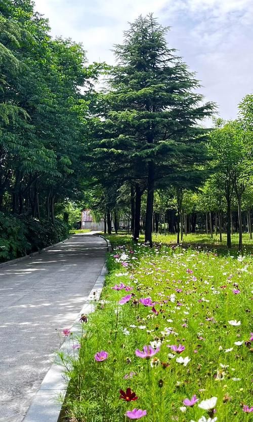 上高县：赣中丘陵屏障下的疫情防波堤